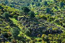 Rocky outcrops in Sierra de Andujar Natural Park, Jaen, Spain. April 2009.