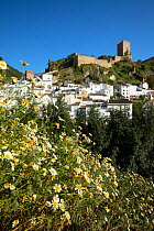 Cazorla castle, Jaen, Andalusia, Spain. May 2009.