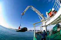 Lifting tourist Zodiac inflatable boat onto mother ship, Akademik Ioffe, Spitsbergen, Svalbard, Arctic Norway, June 2009