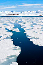 RF- Breaking pack ice at Hornsundet, south west coast of Spitsbergen, Svalbard, Arctic Norway, June 2009. (This image may be licensed either as rights managed or royalty free.)