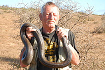 Photographer and herpetologist Tony Phelps holding large Mole Snake (Pseudaspis cana) West Coast National Park, Western Cape, South Africa. model released