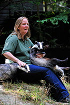 Zookeeper with two orphaned Badgers (Meles meles) Wildwood animal park, Kent, UK