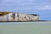 The white cliffs of Dover, Kent, UK