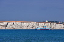 Norfolkline ferry passing the white cliffs of Dover, Kent, UK, July 2009