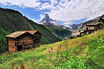 Traditioanal wooden granaries / raccards and houses in Findeln with the Matterhorn in the distance, Valais, Switzerland, July 2009