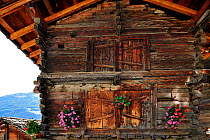 Traditional wooden granary / raccard decorated with geraniums in the Alpine village Grimentz, Valais, Switzerland, July 2009