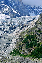 Retreating glacier in the Mont Blanc Massif showing polished bedrock, Italy, July 2009