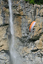 Paraglider flying in front of the 300m high Staubbach Falls, Lauterbrunnen, Bernese Oberland, Switzerland, July 2009