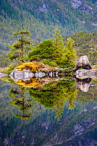 Lake surrounded by temperate rainforest, Campania Island, Great Bear Rainforest, British Columbia, Canada, September 2009