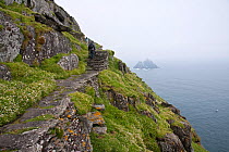 Little Skellig viewed from the Skellig Michael World Heritage Site. The Skellig Islands, Republic of Ireland, May 2009.