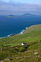 Deenish and Scariff Islands viewed from the Ring of Kerry near Caherdaniel, Republic of Ireland, May 2009.