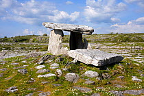 Poulnabrone Dolmen, a Neolithic portal tomb on the Burren (large carboniferous limestone pavement), County Clare, Republic of Ireland, May 2009.