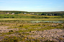 Turlough (disappearing lake found mostly in limestone areas, almost exclusively on the Burren) at Carron, Burren, Republic of Ireland, June 2009.