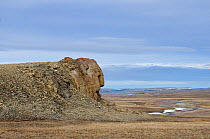 "The Sphinx" rock formation and tundra. Bathurst Island, Nunavut, Canada. June.