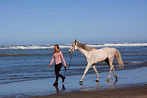 Woman leading Arabian Horse along sandy beach, Northern California, USA (Model Released)