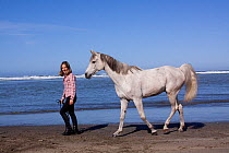 Arabian Horse following woman along sandy beach, Northern California, USA (Model Released)