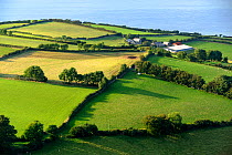 Farm on coast near Porlock, Exmoor, Somerset, UK. August 2009.