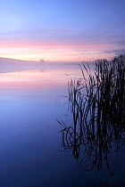 Lower Tamar Lake at dawn, Cornwall, UK. October 2009.