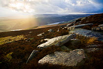 Derwent Edge after rainstorm, with gritstone boulders in foreground. Peak District National Park, England. March 2008.