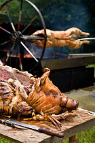 Hog roast on table, with another roasting on spit. Oxfordshire, UK.