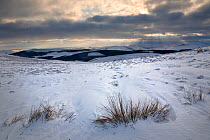 Moorland below Back Tor in winter, Peak District National Park, UK. February 2009.