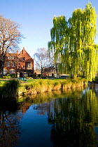 Avon river in summer with willow trees, Christchurch, New Zealand, September 2007