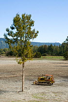 Bulldozer in newly cleared forest, West Coast, New Zealand, October 2008