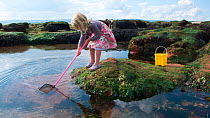 Young girl fishing in a tidepool on Exmouth Beach, Devon, UK, September 2009, Model released.