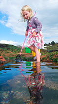 Young girl fishing in tidepool on Exmouth Beach, Devon, UK, September 2009, Model released.