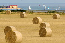 Round straw bales with tidal estuary, lifeboat station and pleasure boats in distance, Wells, Norfolk, UK, August