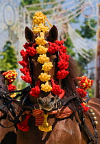 Portrait of a traditionally dressed horse parading during the Feria Del Caballo (Horse Fair), Jerez De La Frontera, Andalucia, Spain, May 2009