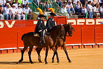 Two riders open the Corrida de Rejones at a bullfight in the Plaza De Toros, Jerez De La Frontera, Andalusia, Spain. 2009