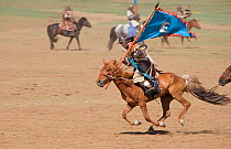 Re-enactement of an attack by the mounted armies of Genghis Khan (emperor of the Mongol Empire) during the Genghis Khan Show, in Ulaanbaatar, Mongolia. The horses are Mongolian horses. July 2007