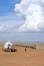 Re-enactement of the movement of the mounted armies of Genghis Khan (emperor of the Mongol Empire) during the Genghis Khan Show, in Ulaanbaatar, Mongolia. The horses are Mongolian horses. July 2007