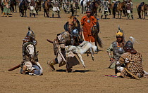 Re-enactement of an offering by friendly armies to the armies of Genghis Khan (emperor of the Mongol Empire) during the Genghis Khan Show, in Ulaanbaatar, Mongolia. The horses are Mongolian horses. ju...