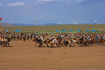 Re-enactement of an attack by the mounted armies of Genghis Khan (emperor of the Mongol Empire) during the Genghis Khan Show, in Ulaanbaatar, Mongolia. The horses are Mongolian horses. July 2007