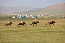 Four young jockeys mounted on their Mongolian horse, race in the horse race of the national Naadam festival, held from July 11  13; near Ulaanbaatar, Mongolia. 2007