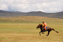 A young jockey mounted on a Mongolian horse, galloping in the horse race during the national Naadam festival, held from July 11 � 13; near Ulaanbaatar, Mongolia. 2007