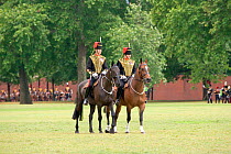 The King's Troops, Royal Horse Artillery, mounted on Irish Draft horses, celebrate their 60th anniversary in Hyde Park, June 2007
