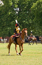 The King's Troops, Royal Horse Artillery, mounted on Irish Draft horses, celebrate their 60th anniversary in Hyde Park, June 2007