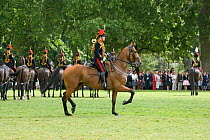 The King's Troops, Royal Horse Artillery, mounted on Irish Draft horses, celebrate their 60th anniversary in Hyde Park, June 2007, The horses pull a WWI canon used for the gun salutes, during official...