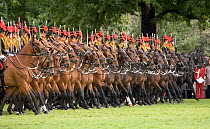 The King's Troops, Royal Horse Artillery, mounted on Irish Draft horses, celebrate their 60th anniversary in Hyde Park, June 2007 The horses pull a WWI canon used for the gun salutes, during official...