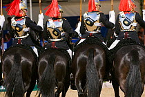 The Household Cavalry, dressed in official uniforms, parade in front of the Queen, during the Royal Windsor Horse Show, Windsor, Berkshire, England, UK. May 2008