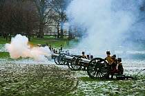 The King's Troops, Royal Horse Artillery, fire a WWI canon to celebrate the Queen's Accession to the Throne, Hyde Park, London, England, UK. November 2009