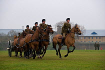 The King's Troops, Royal Horse Artillery, mounted on Irish Draft horses and dressed in training uniform, exercise in Wormwood Scrubs, London, UK. The horses pull a WWI canon used for the gun salutes,...