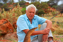 David Attenborough observing an Argus monitor lizard (Varanus panoptes rubidus) Western Australia, November 2006, on location for BBC NHU series 'Life in Cold Blood' This species of monitor rears up...