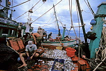 Fisherman off-loading catch from dragger fishing boat onto smaller boat, Sihanoukville, Cambodia / Kampuchea, June 2008