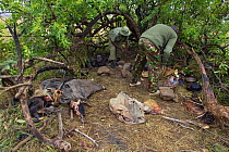 Poacher's camp with hides, meat, and skulls of wildebeest and impala, found and confiscated by Mara Conservancy rangers, Serengeti National Park, Tanzania, August 2006