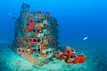 One of the deeper artificial reefs, Larvotto Marine Reserve, Monaco, Mediterranean Sea, July 2009