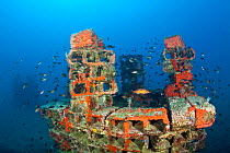 One of the deeper artificial reefs surraunded by Damselfish (Chromis chromis) with a Comber (Serranus cabrilla) in the middle, Larvotto Marine Reserve, Monaco, Mediterranean Sea, July 2009